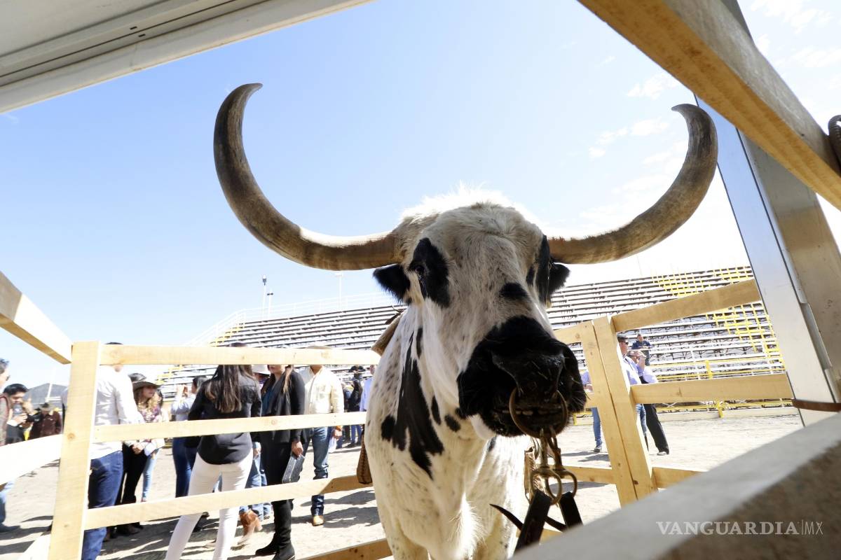 $!Expogan &amp; Fest 2020: Saltillo volverá a ser la Ciudad Más Vaquera de México