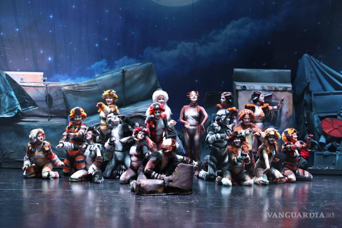 $!El musical Cats integró la cartelera de espectáculos de gran formato presentada durante el FINA 2026.
