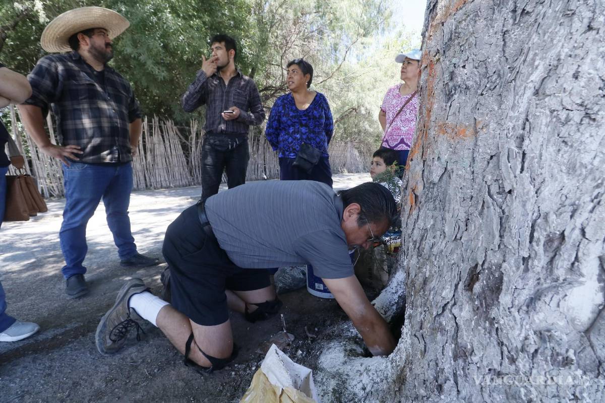 $!Vecinos retiraron restos del aceite con estopa y vertieron composta de tierra mezclada con productos orgánicos para limpiarlo.