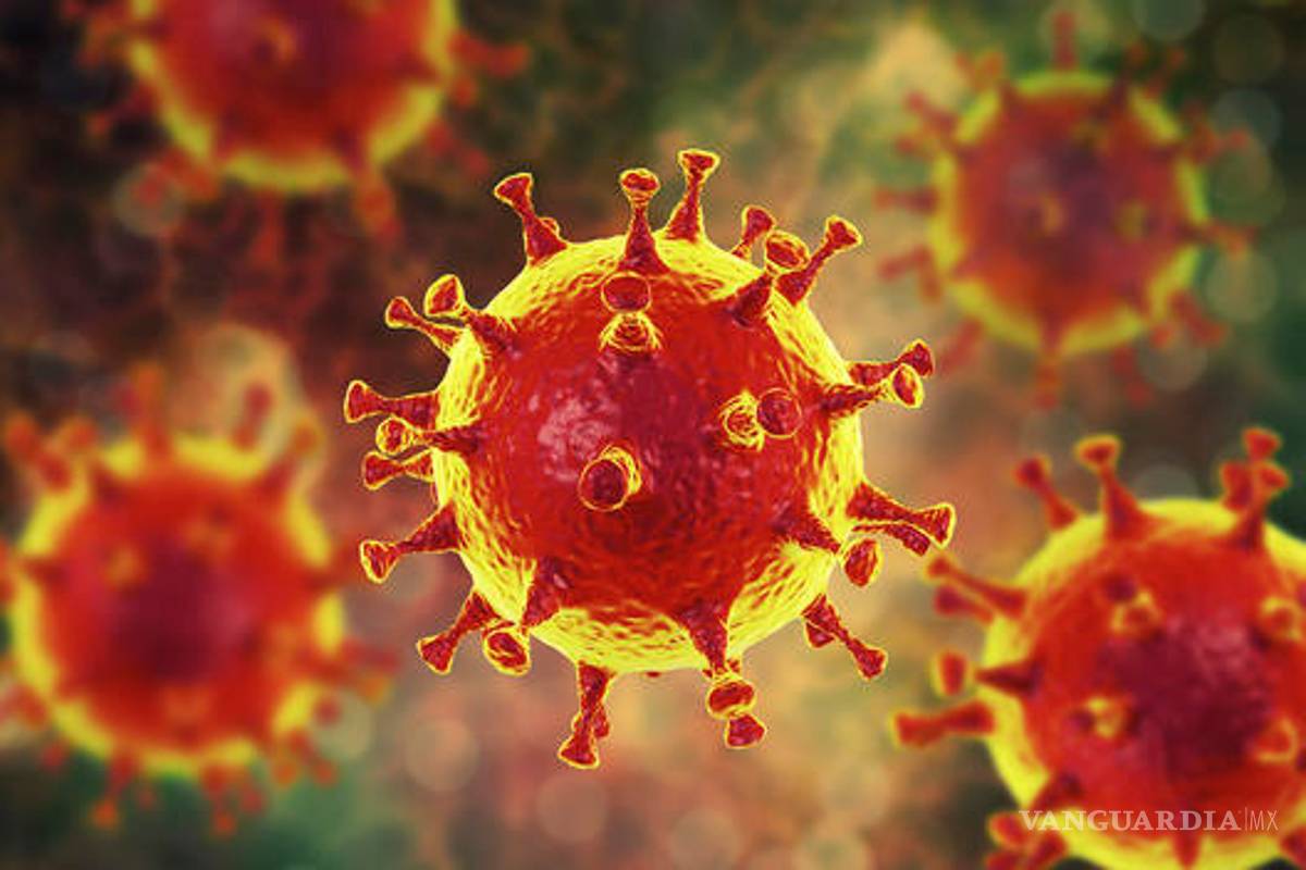 Cambio climático, una de las causas de enfermedades emergentes como el coronavirus Covid-19