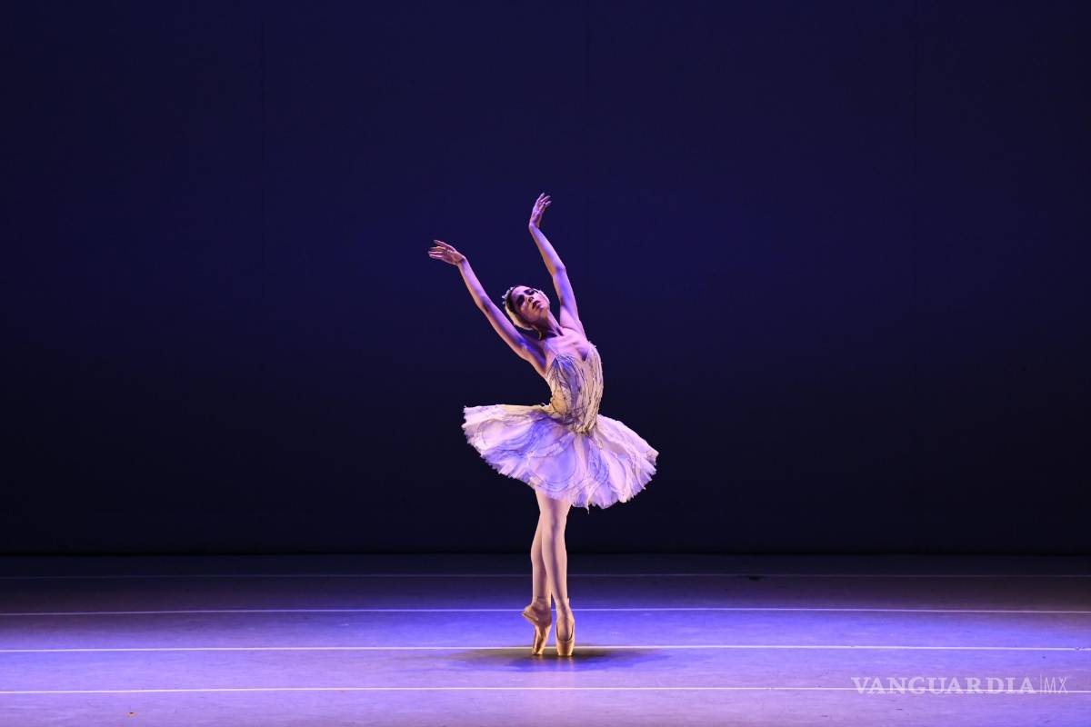 $!Ballet “La muerte del cisne”