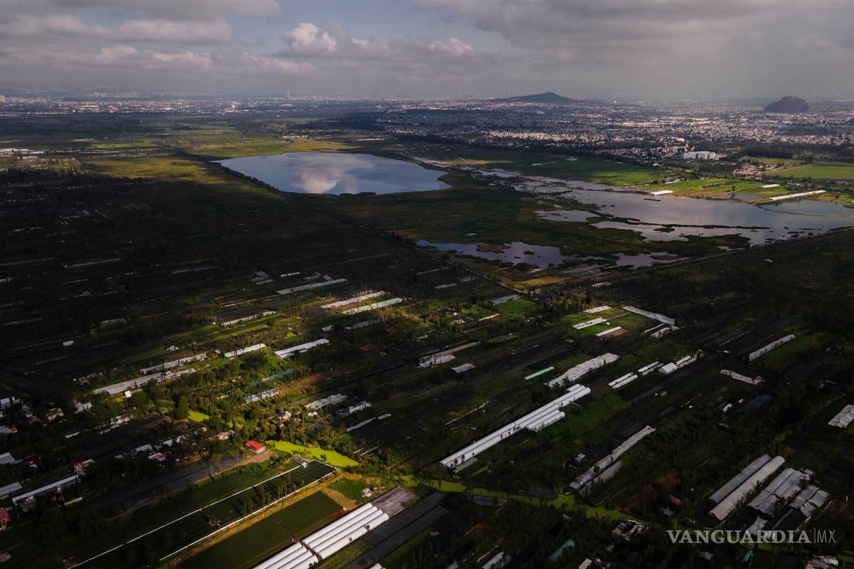 $!Islas flotantes conocidas como chinampas son visibles en San Gregorio Atlapulco y Xochimilco, en la Ciudad de México.