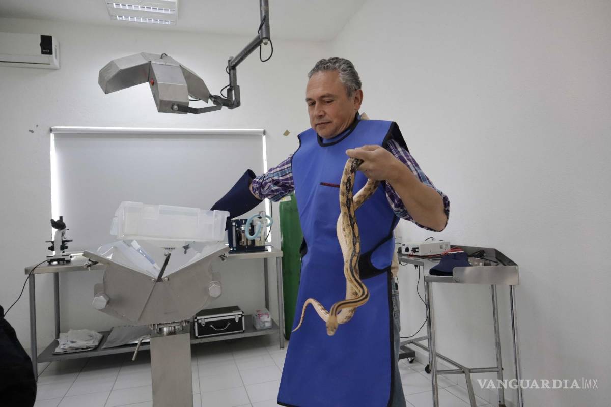 $!Los pacientes son habitantes del Desierto Chihuahuense que abarca en extensión geográfica al estado de Coahuila.