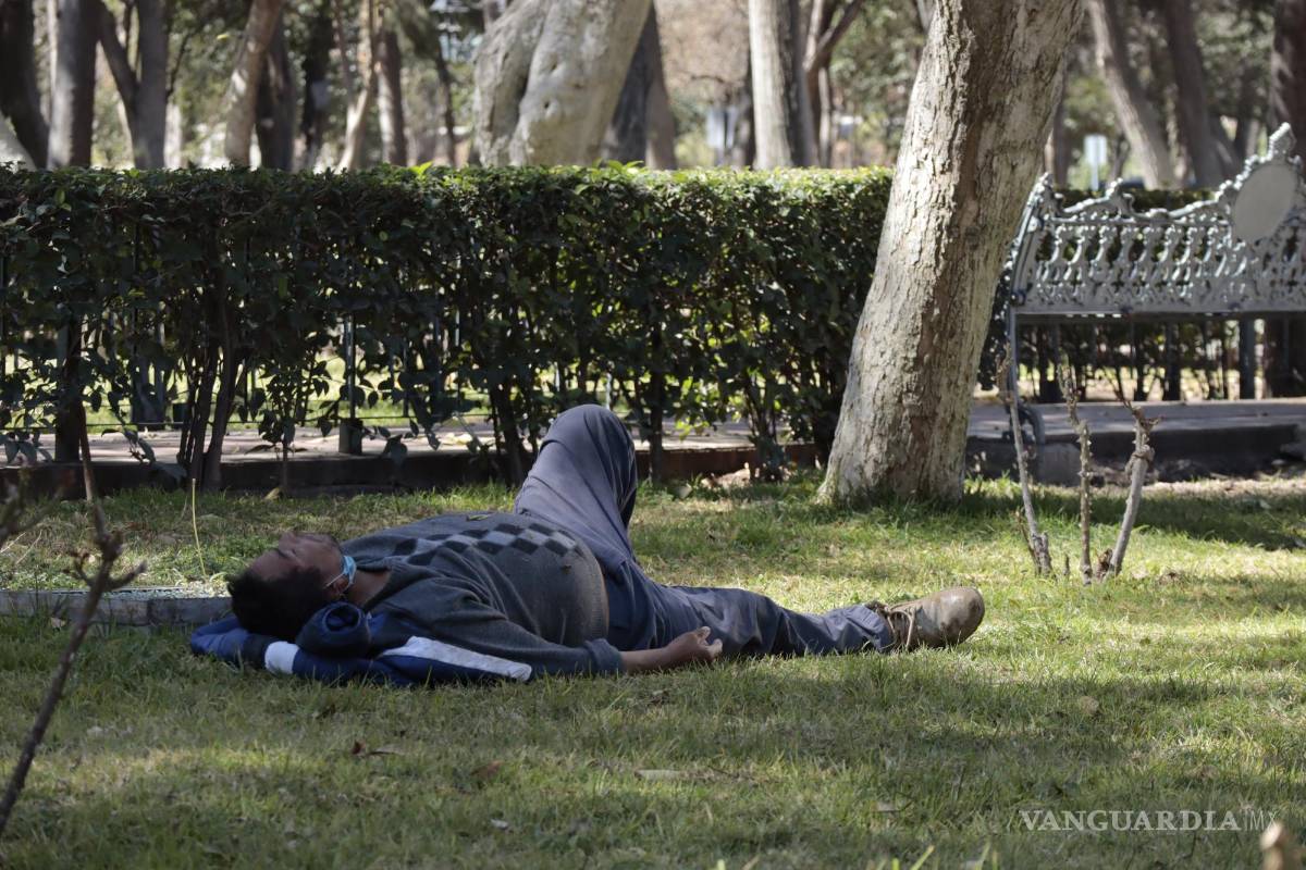 $!En jardines de plazas públicas se ha observado a personas aprovechar la sombra de los árboles.