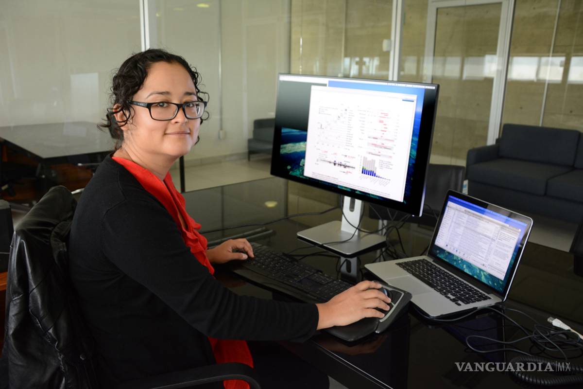 Estudian el papel del ARN codificante en los procesos de regulación genética