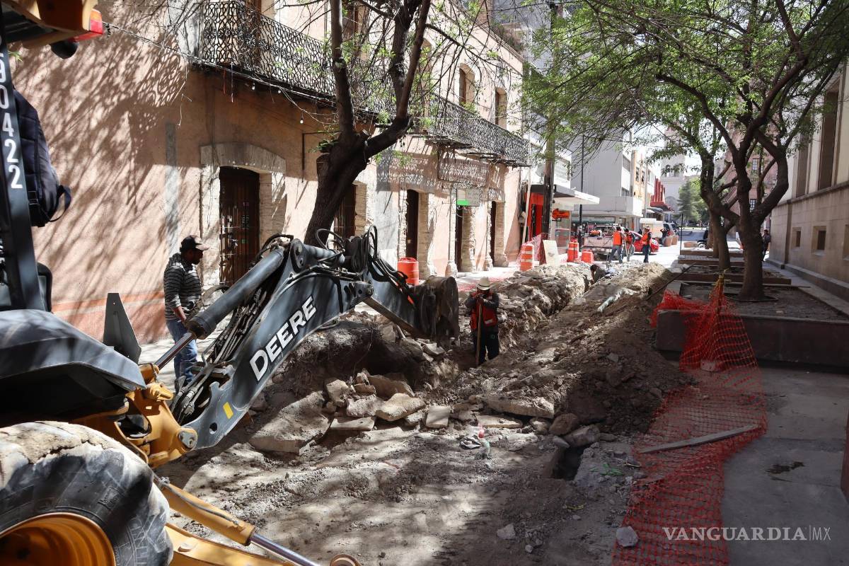 $!VANGUARDIA buscó al Municipio de Saltillo, específicamente a la dirección de Ecología sobre el tema, quedando al pendiente de respuesta.