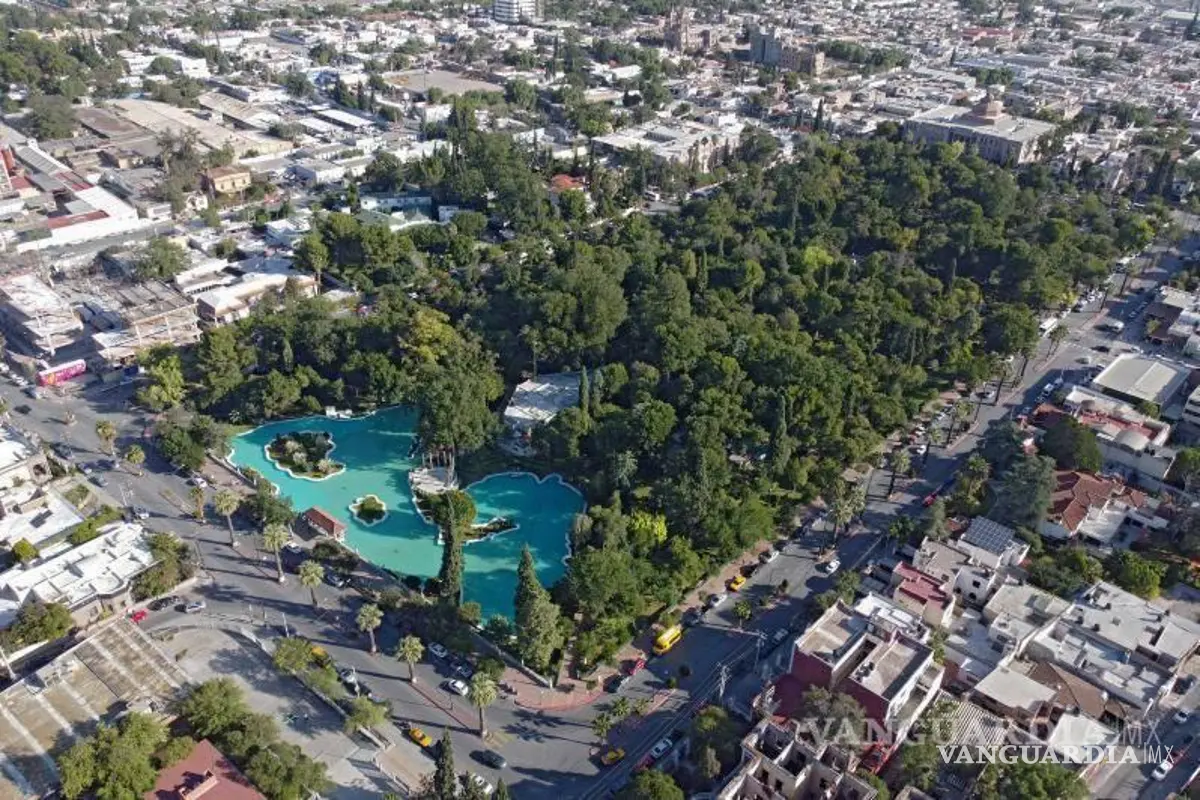 Descartan tala de árboles en rehabilitación de la Alameda de Saltillo