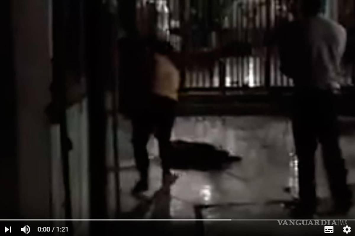 En Chile una mujer apaleó a perro callejero hasta matarlo, hay protestas e indignación