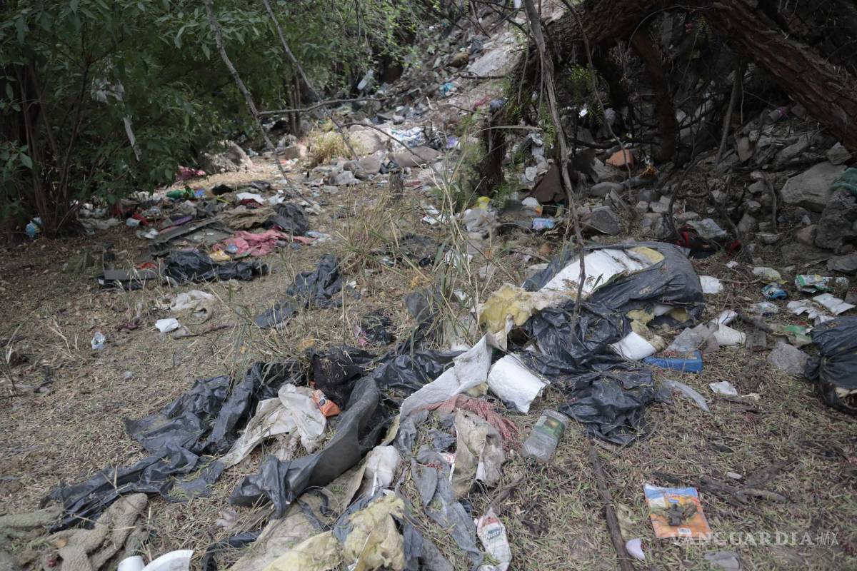 $!Bolsas plásticas, unicel y desecho “decoran” las inmediaciones de los arroyos.