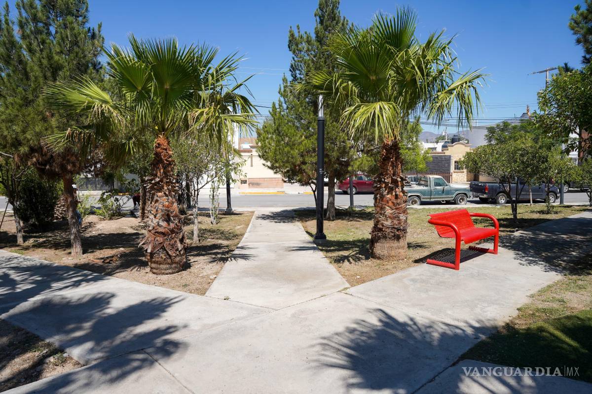 $!El retiro de escombro y mantenimiento general permite que más familias disfruten de espacios públicos seguros y funcionales.