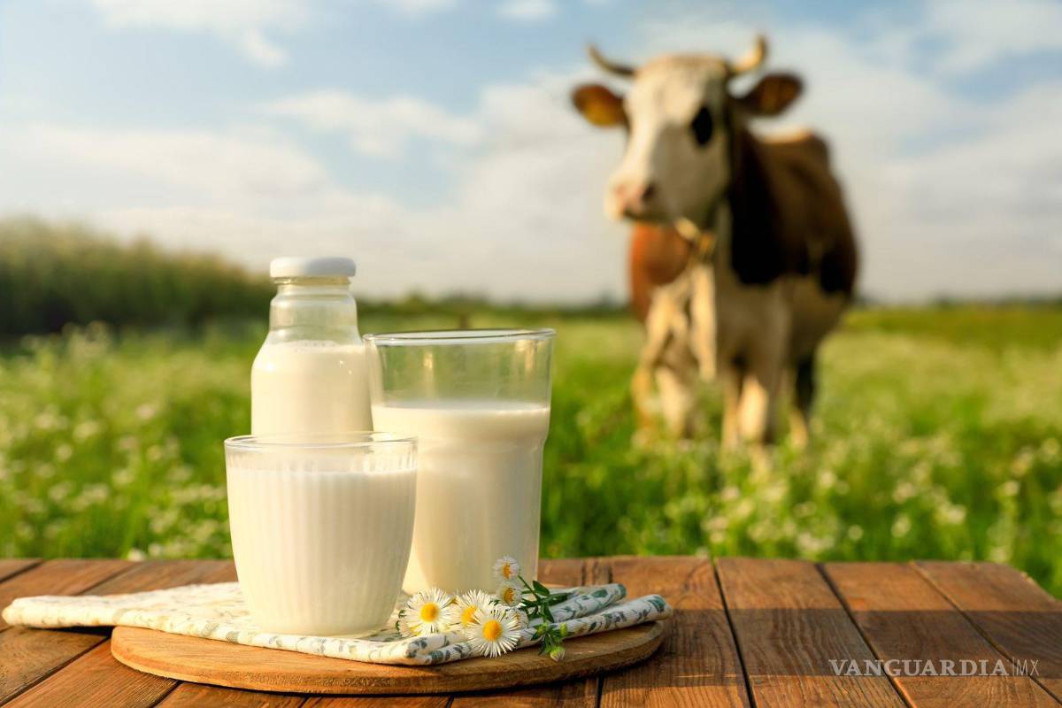 $!Su versatilidad permite disfrutarla en diversas presentaciones, desde el cereal hasta los postres.