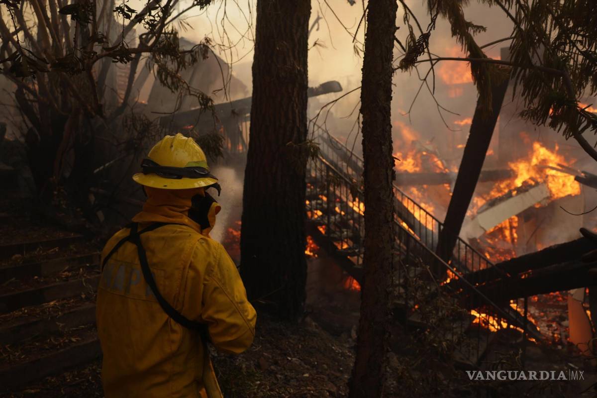 Incendios en Los Ángeles: Trump culpa a Gobernador de California por devastación