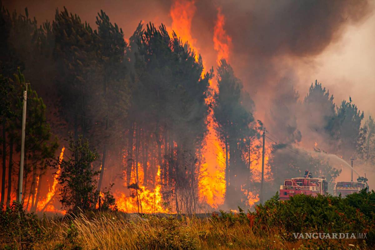 $!Esta foto proporcionada por el cuerpo de bomberos de la región de Gironde (SDIS33) muestra un incendio forestal cerca de Landiras, suroeste de Francia.