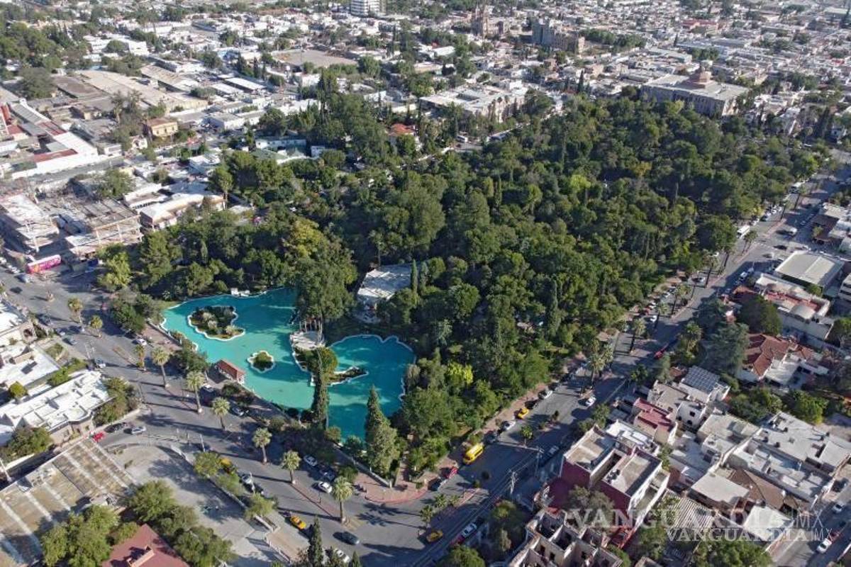 Saltillo: descarta alcalde Javier Díaz tala de árboles en remodelación de Alameda Zaragoza