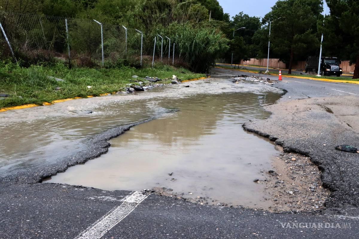Infraestructura verde. Una solución de valor agregado
