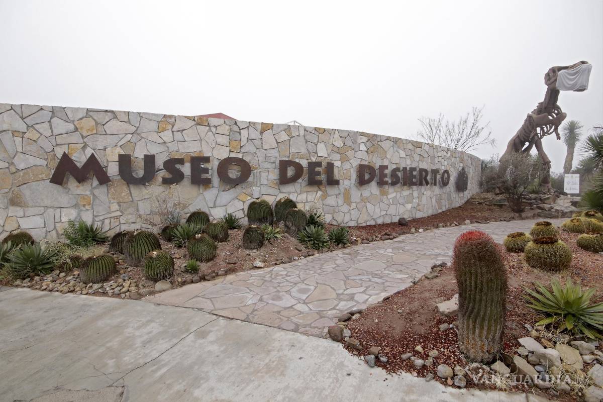 $!Las tardes frescas de la temporada invitan a recorrer la variada oferta de museos de la ciudad sin la sofocación del verano.