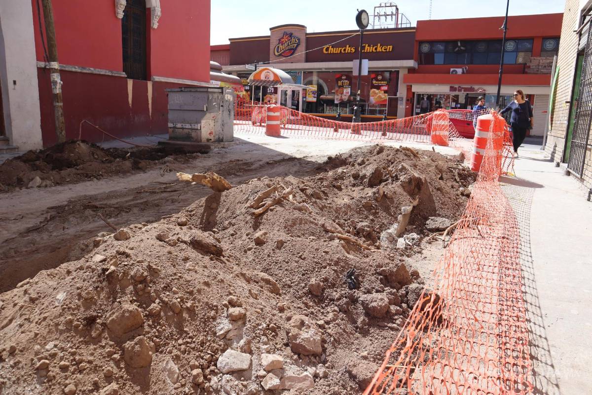 $!Por la mañana de este jueves, personal del municipio de Saltillo retiró los árboles del callejón Padre Flores para removerlo al vivero municipal.