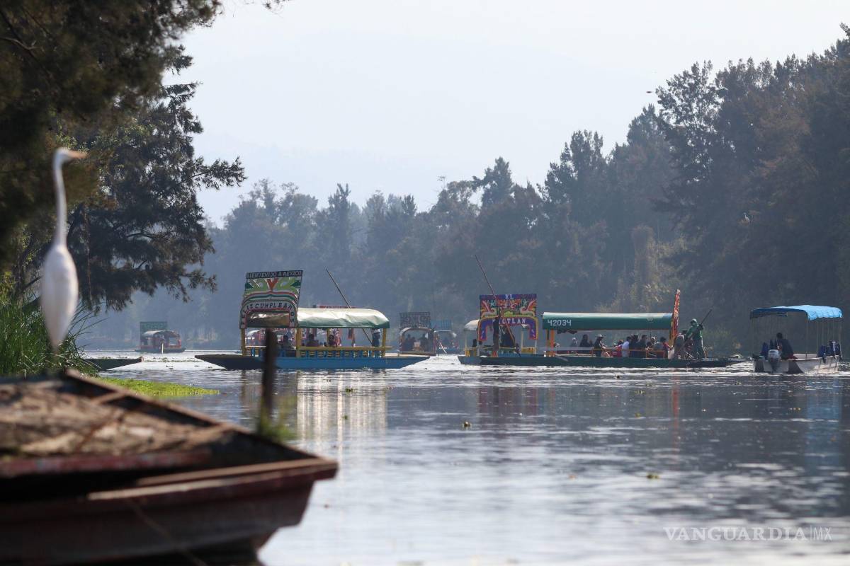 Los mayas usaban los embalses para mantener el agua limpia, científicos creen este método podría resolver la actual crisis hídrica