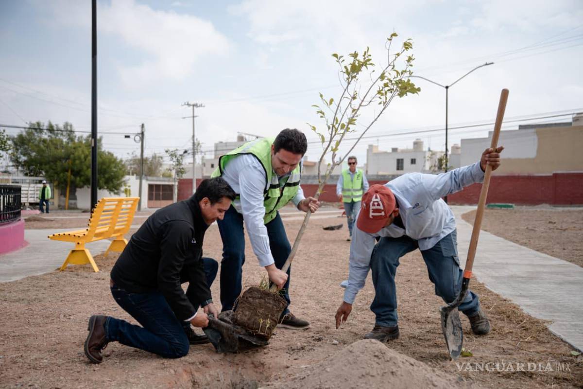 $!La Dirección de Medio Ambiente y Desarrollo Sustentable llevó a cabo la limpieza de arroyos en 260 puntos del municipio, donde se recolectaron cerca de 500 toneladas de residuos sólidos y vegetales.