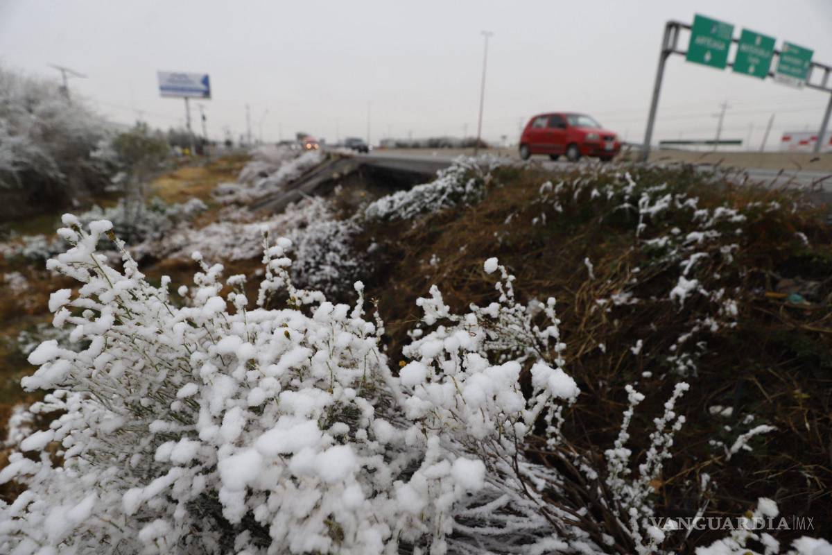 Prepárese... Ingresa el frente frío 31 a México; azotará con temperaturas de -15 grados, caída de aguanieve y fuertes lluvias