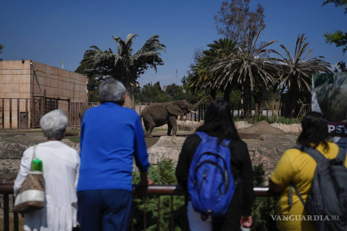 $!“Ely estaba en unas condiciones pésimas. Yo creo que no tardaba en el morirse”, dijo a The Associated Press Diana Valencia