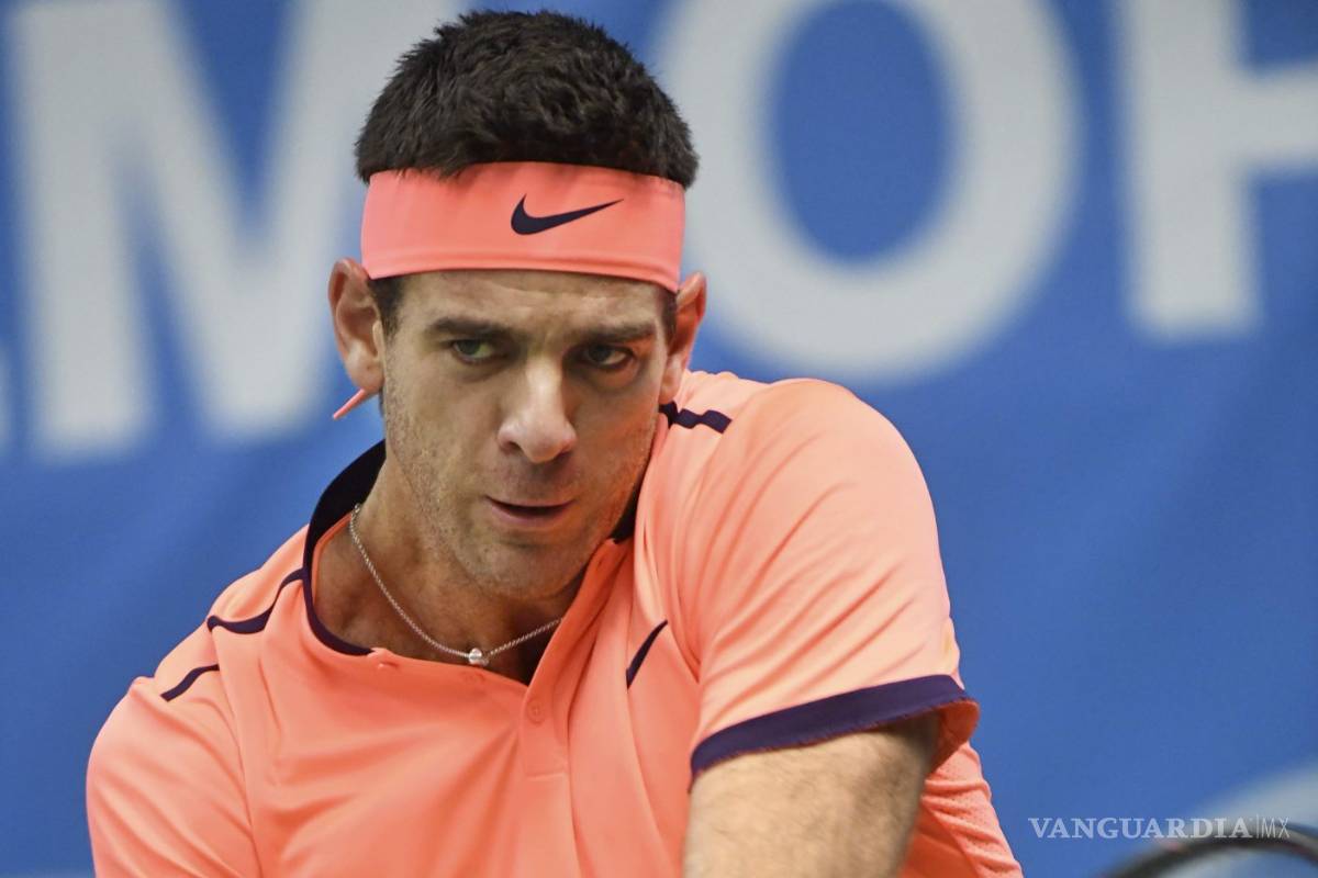 Del Potro vence a Dimitrov y alcanza la final de Estocolmo