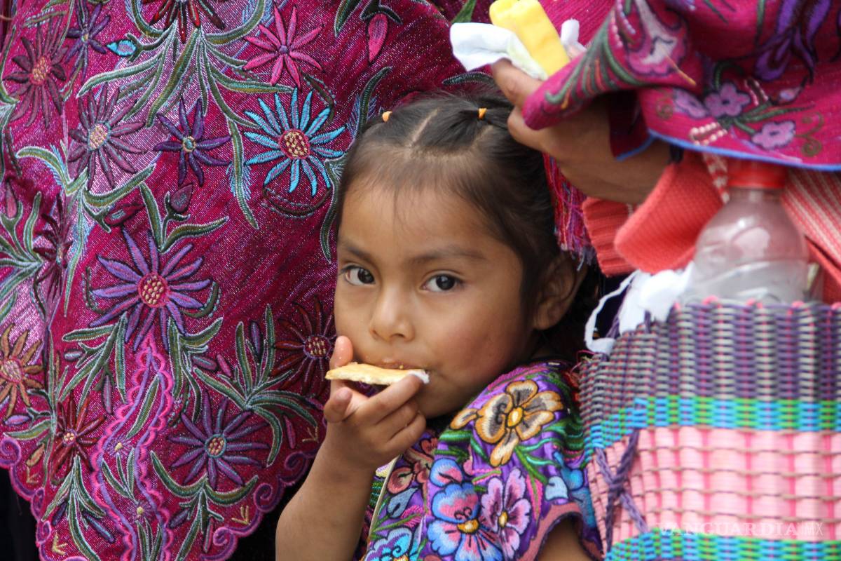 Sedesol relanzará Cruzada contra el Hambre