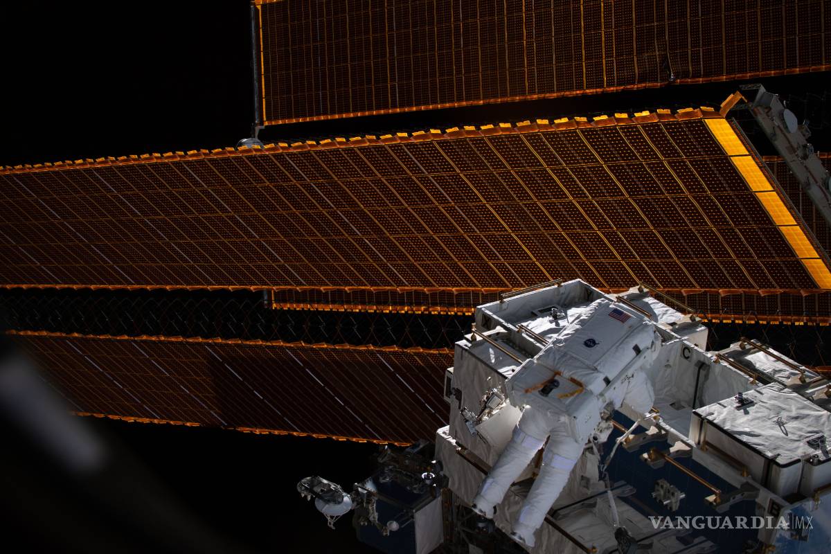 $!Nasa cataloga los microbios y hongos de la Estación Espacial