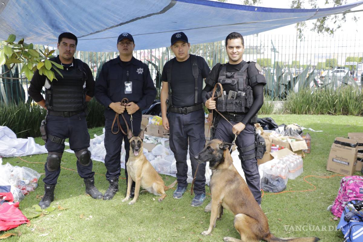 Héroes laguneros: El escuadrón canino rescata cinco cuerpos