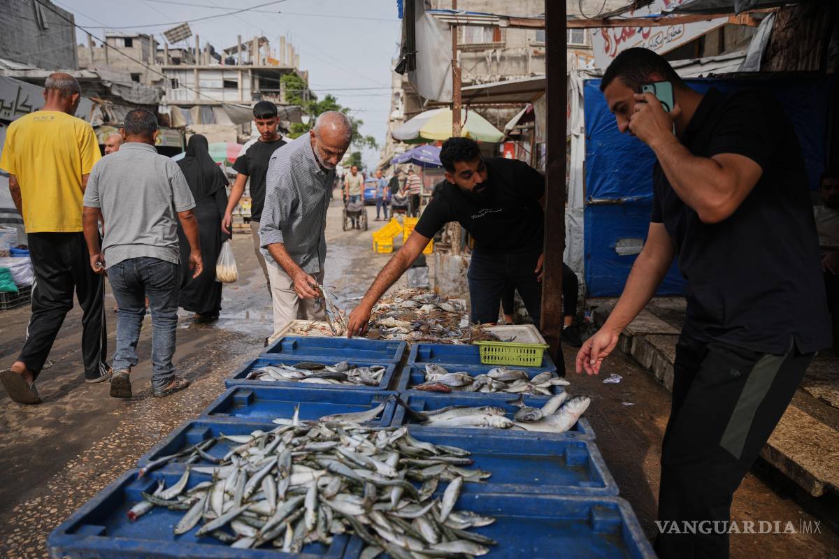 $!Palestinos compran pescado en un mercado del campo de refugiados de Al-Shati, en la ciudad de Gaza, el miércoles 14 de octubre de 2026.