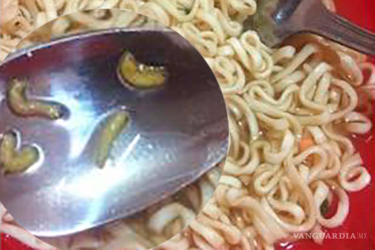 Descubre gusanos en su sopa instantánea