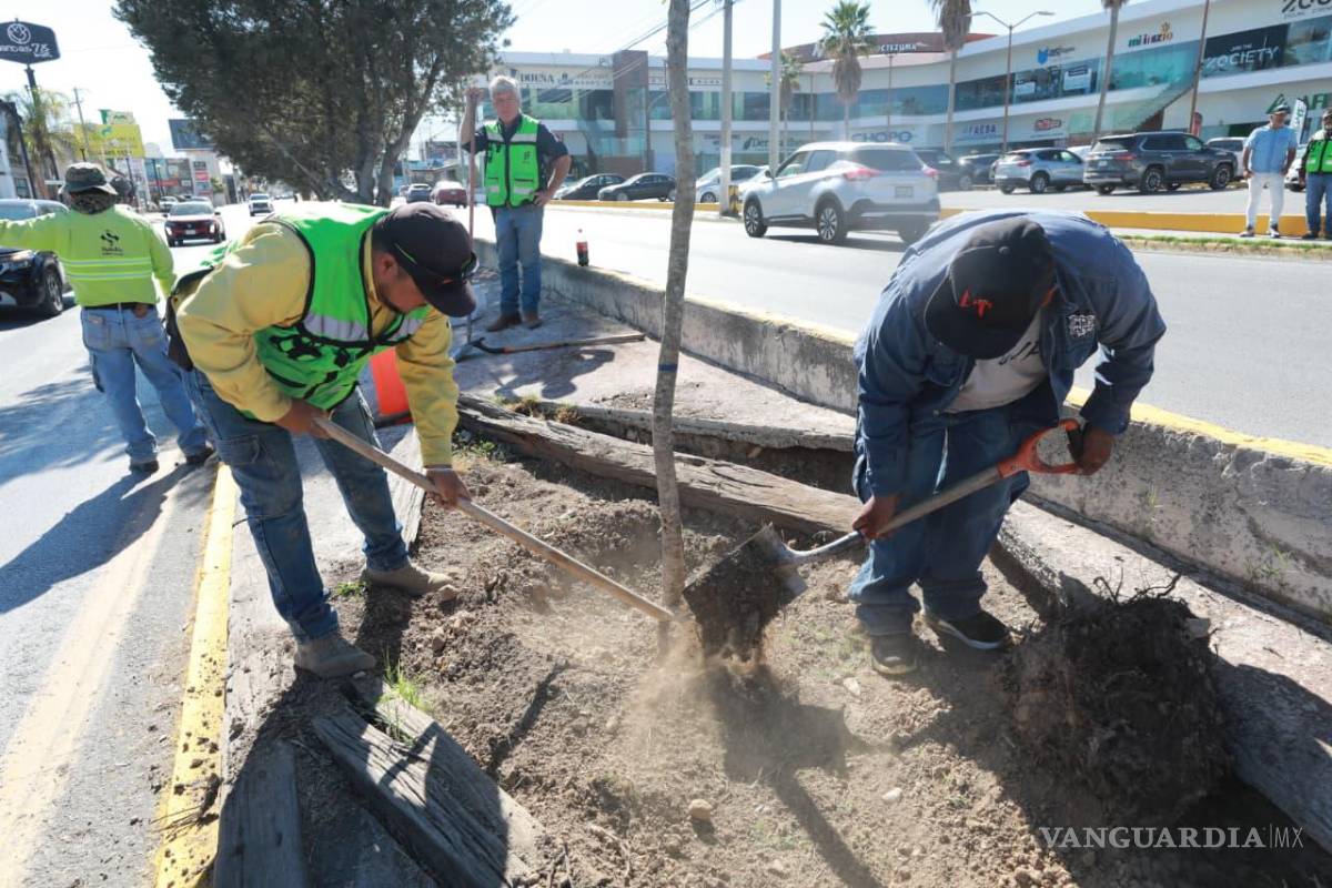 $!Los trabajos comenzaron en el bulevar Moctezuma, entre los bulevares José Musa de León y Eulalio Gutiérrez Treviño.