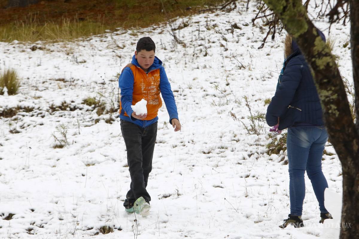 $!No, no es Suiza ¡es la sierra nevada de Arteaga, Coahuila! (Fotogalería)