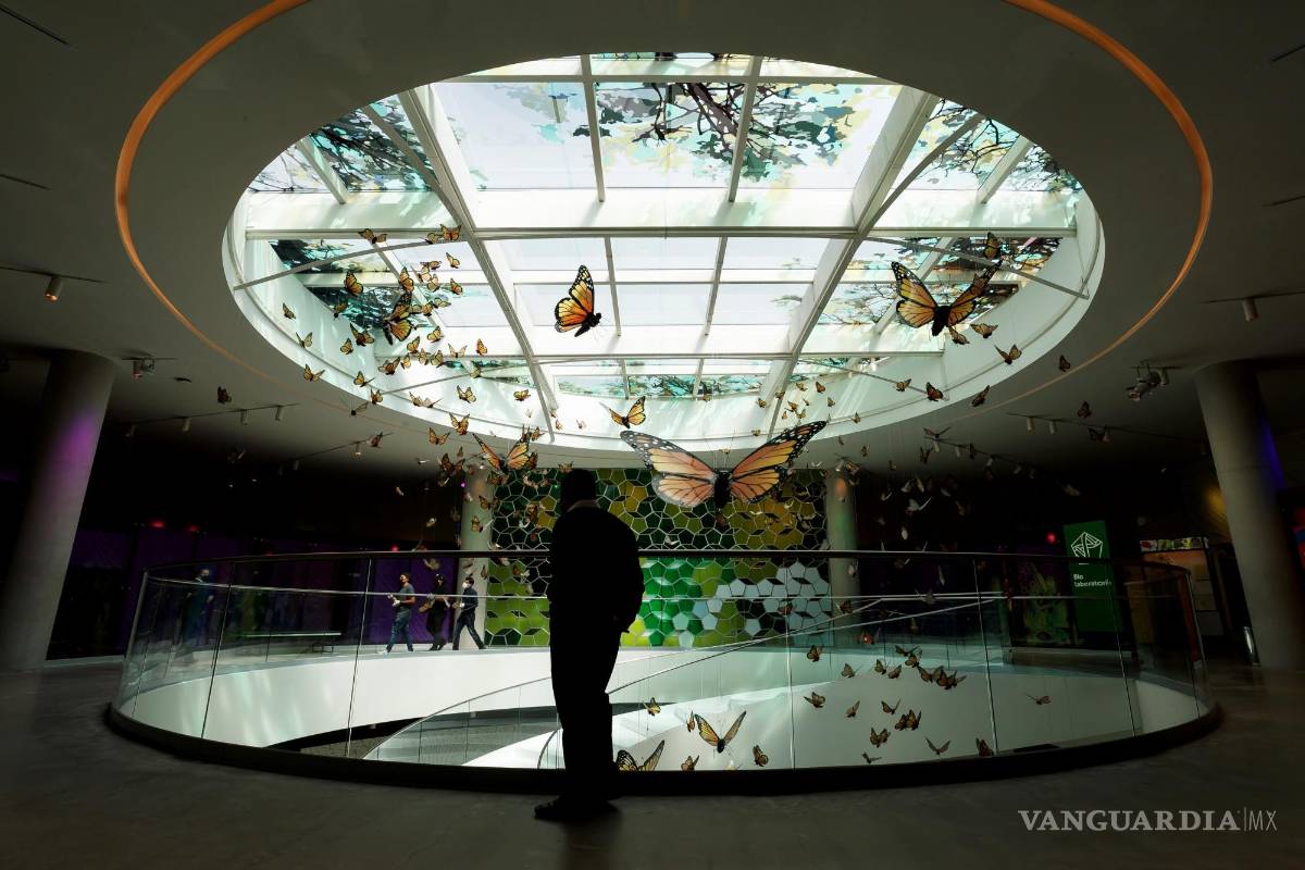 UNAM inaugura su Pabellón de la Biodiversidad con el apoyo de la Fundación Slim