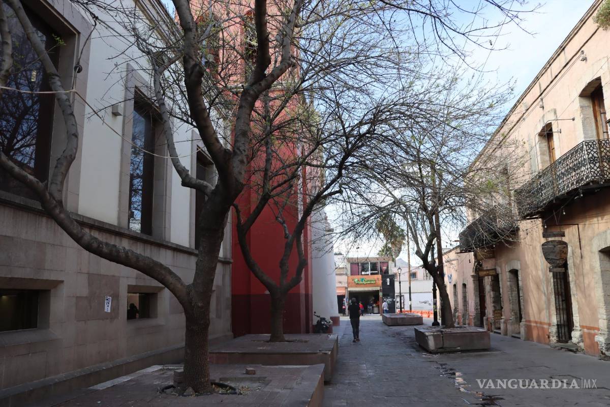 Proyecto Paseo Capital en Saltillo avanza según lo planeado