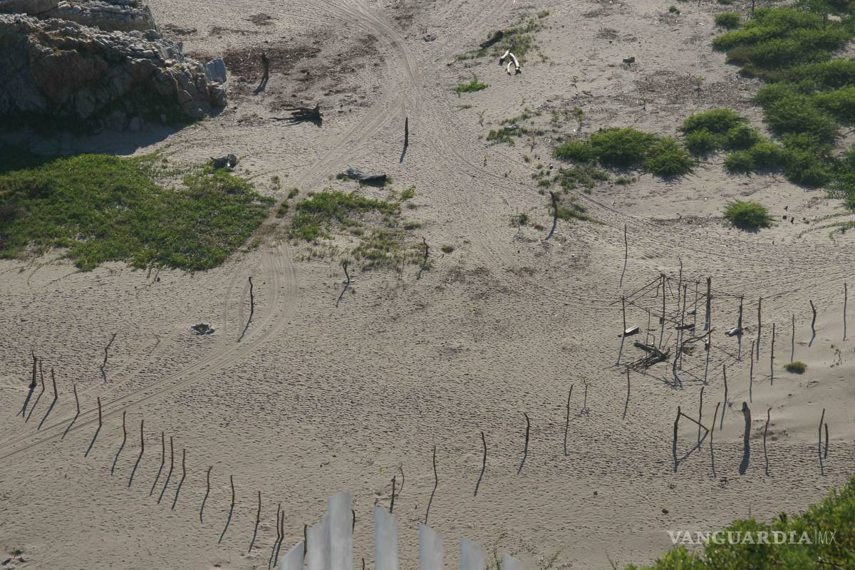 Devastarán hábitat de tortugas