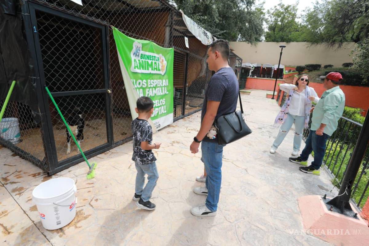 $!Familias saltillenses acudieron a la Feria de Adopción realizada en el Parque Urdiñola.