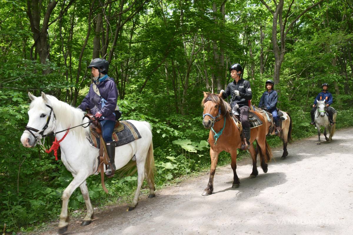 Niño desaparece en bosque de Japón; los padres lo dejaron como castigo
