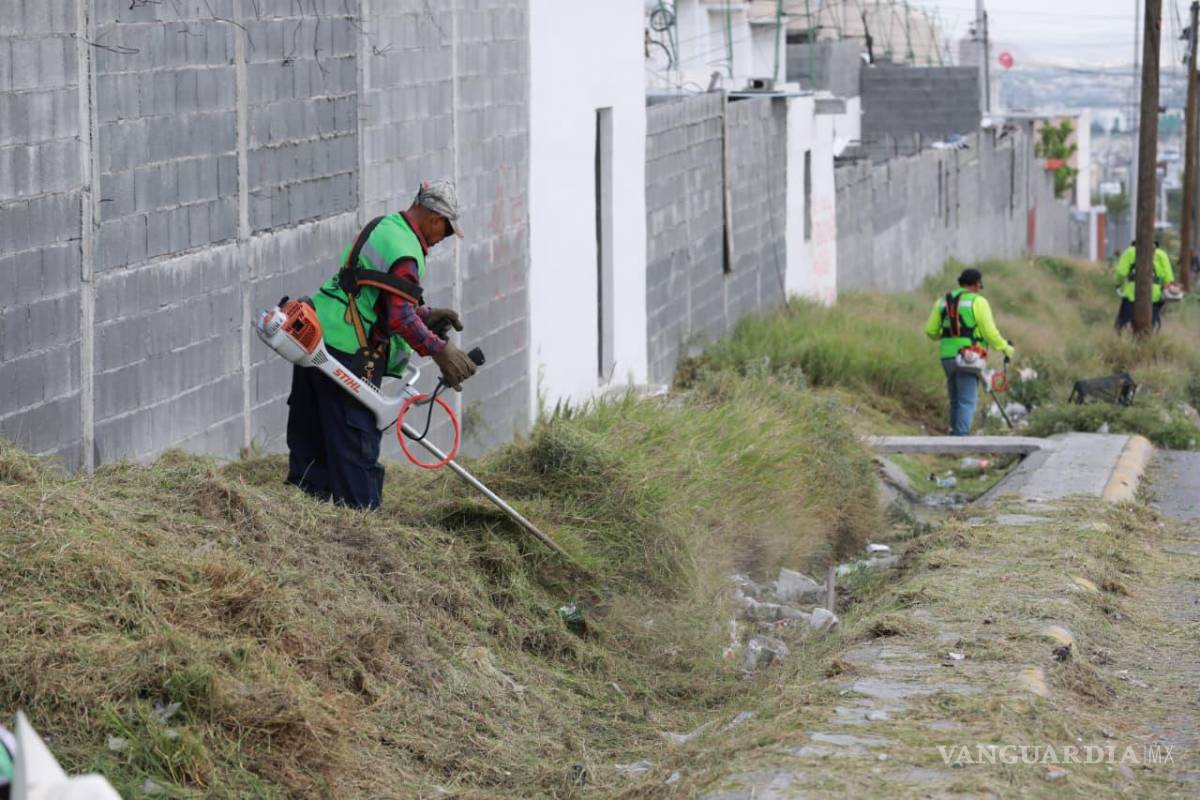 $!Los trabajos buscan mantener despejados los cauces y favorecer el flujo del agua durante las precipitaciones.