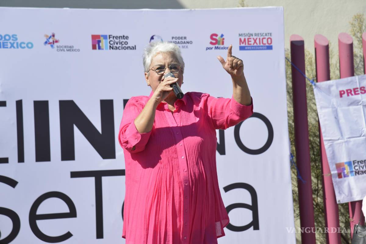 $!Grupos políticos y ciudadanos se reunieron en la sede estatal del INE, donde expresaron estar en contra de la Reforma Electoral.