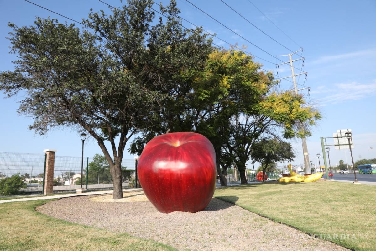 Emociona a regios corredor con frutas gigantes