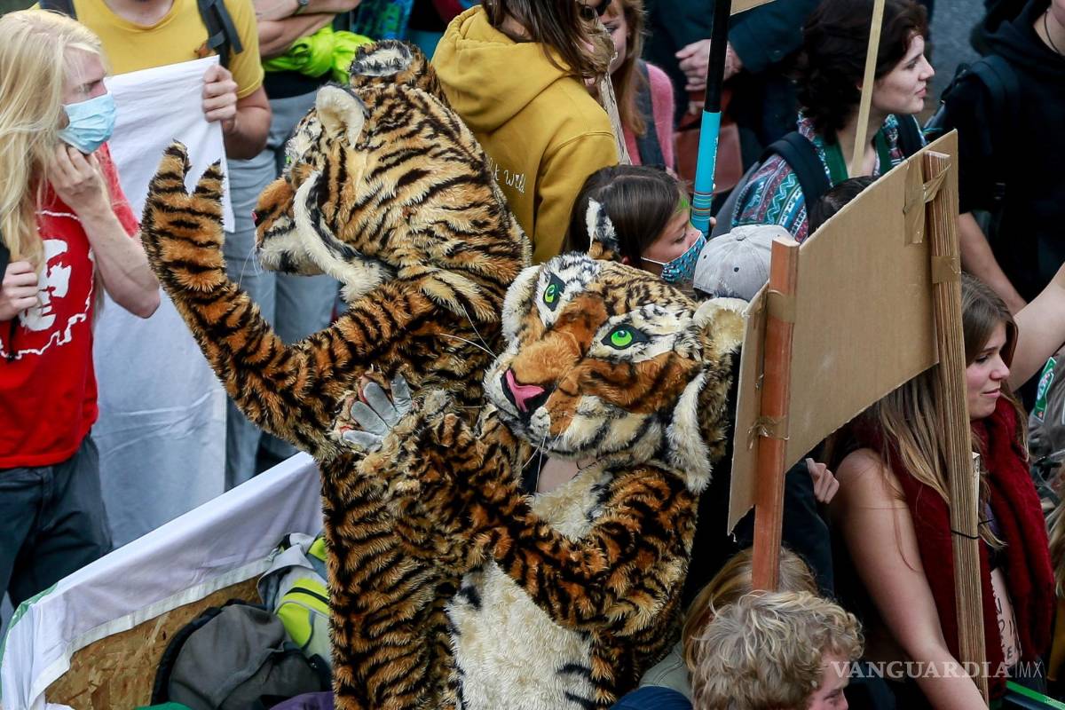 Miles marchan en Bruselas contra el cambio climático (imágenes)