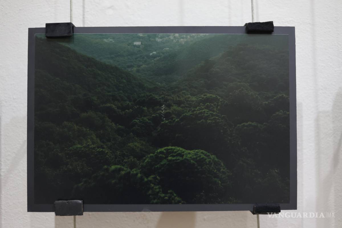 $!Mario Alberto Monjaraz Salas comparte sus recorridos por la Sierra Madre en exposición