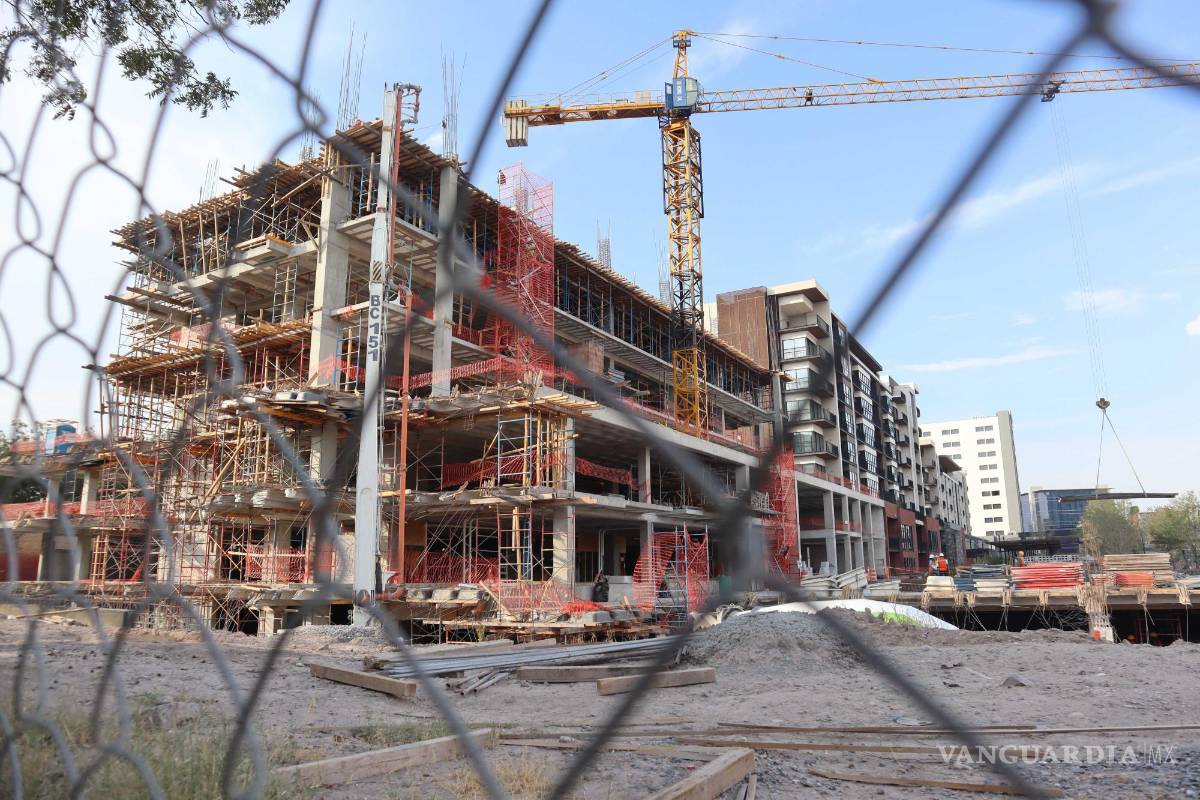 $!El movimiento de los vecinos de la colonia Jardín, ubicada frente al Hospital del IMSS número 2, inició por el intento de derribar el nogal de la calle Sauce.