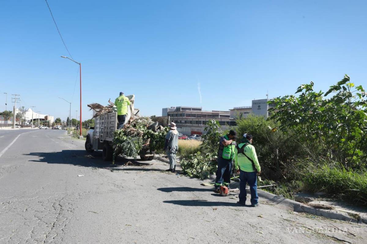 $!Las cuadrillas retiraron maleza y desechos acumulados para mantener el cauce libre de basura.