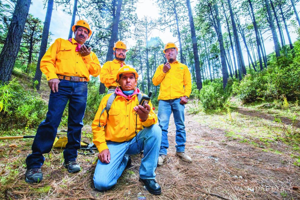 Brigadistas: Héroes de la sierra