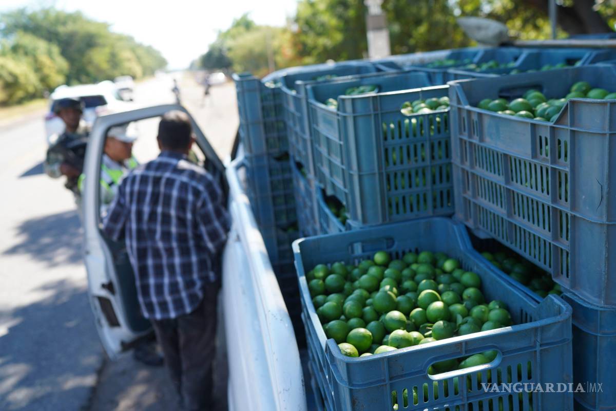 $!‘El Bótox’ habría confesado el asesinato del líder limonero Bernardo Bravo, revela audiencia