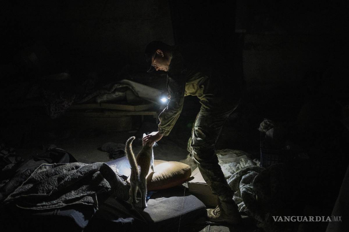 Guerra en Ucrania deja vidas rotas y en recuperación, fotografías