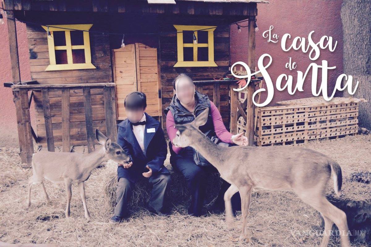 $!Casa Alameda de Saltillo se justifica por mantener venados encerrados en un corral