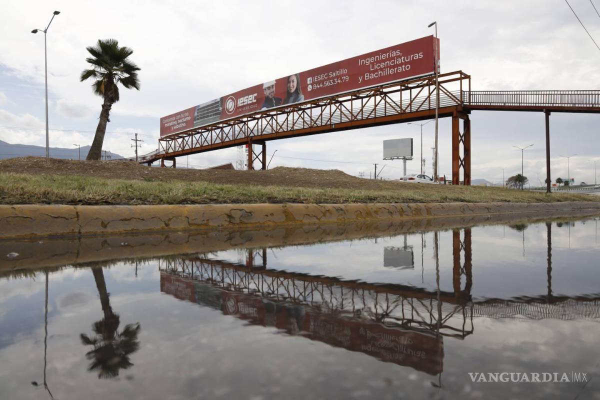 $!¿Quién está matando a los peatones en Saltillo?